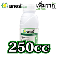 สกอร์ 250 อีซี ไดฟีโนโคนาโซลป้องกันเชื้อรากาบใบไหม้ แอนแทรคโนส ใบจุดสีม่วง ปลอดภัย ใช้ดีทุกสวน