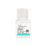0.25% Trypsin Solution, with EDTA, dissolved in PBS, 125mL