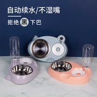 Cat Bowl Dog Bowl Cat Double Bowl Pet Cat Bowl Cat Food Bowl Cat Dog Rice Bowl Pet Bowl