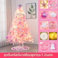 MENGMIAN | ต้นคริสต์มาสสไตล์ Douyin Influencer ลาย grdient สากุระ