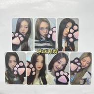 Babymonster Bao Guai Rose Small Card Exclusive Offline Cat Paw Zheng Yaxian Holding Flowers yg