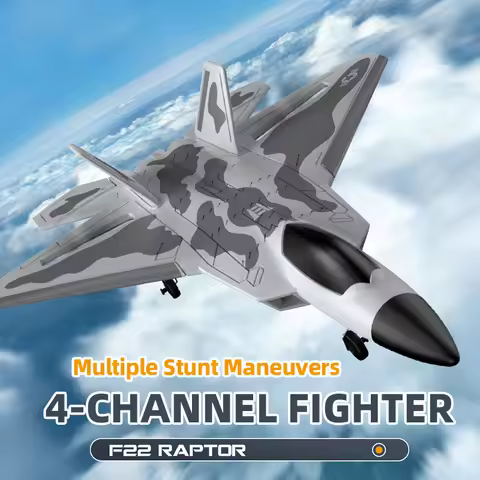 BM31 F22 Brushless RC Fighter 2.4G 4CH Remote Control Airplane EPP Foam Electric Model 490MM Biger G