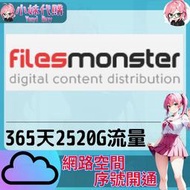 【現貨+開發票】小妹代購 免空 雲端 序號 升級碼 會員 高速下載 filesmonster 365天 2520G
