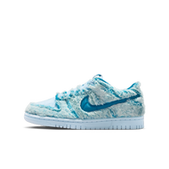 Nike Dunk Low 大童運動鞋