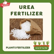 UREA FERTILIZER - 10grams