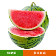 超甜8424冰糖麒麟西瓜（1個 大瓜） 夏日消暑神器