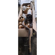 Genuine Used original Np300, Hilux Revo, Vigo, Ranger, Dmax exhaust pipe