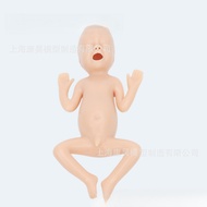 Simulated Preterm Baby Model 24 Weeks Premature Infant Nursing Practice Teaching Tool