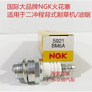 C. Lawn Mower Chainsaw Japan NGK Two-Stroke BM6A Spark Plug Corresponding to L7T L7TC M7 W20M-U ZPAH