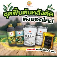 #ชุดพื้นต้นหลังตัด ดึงยอดใหม่ #ดวงตะวันเพชร (อะมิโนทุเรียน+โปรซีวิด+15-0-0/2kg +แถม แบล็กเอิร์ท 1 kg