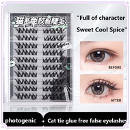 BQI False Eyelashes Gel-free Beauty Makeup Protection Segmented False Eyelashes Lightweight False Ey