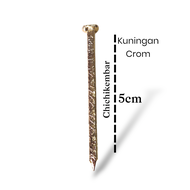 Paku rajah Kuningan 5cm - Paku bumi rajah Kuningan