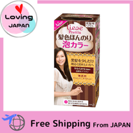 Liese Hair Coloring Pretty Bubble Color Soft Brown 100ml Directly from Japan