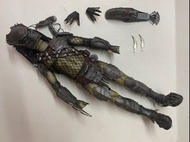 Hottoys MMS443 AVP Wolf Predator  1/6 figure Body only