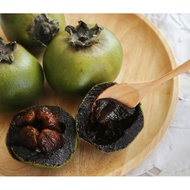 Black sapote tree (chocolate pudding tree)