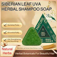 Hair Strengthening Shampoo Bar Natural Amino Acid Herbal Shampoo Bar Thuja Orientalis Extract Solid 