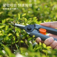 Jimmy Home Gardening Shears Garden Pruning Shears Pruning Shears Pruning Shears Branches Special She