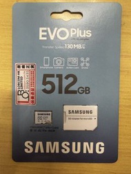Samsung Evo Plus 512gb