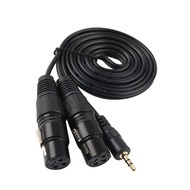 3.5Mm 1/8Inch Stereo Male To Dual Xlr Female Adapter Cable