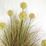 Simulation Package Dandelion Simulation Style Weicao Grass Green Red Simulation Plant Potted Plant H