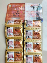 [TERLARIS ASLI] Kapsul Lingzhi herbal isi 20 sachet jamur lingzhi