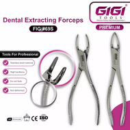 GIGI Tools คีมถอนฟัน Fig 69S American Pattern สแตนเลส มาตรฐาน CE (Tooth Extracting Forceps)