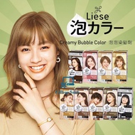 Liese Creamy Bubble Hair Color Prettia (Natural Series)