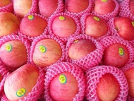 Apel FUJI/buah apel/buah segar/buah buahan/apel man - 1 kg