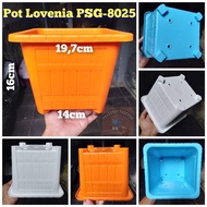 Lovenia 25 Square Pot Lovenia Square Pot PSG 25 Square Pot PSG 8025 Quality Wood Motif