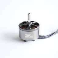 Motor FPV 10 Inci untuk Motor Tanpa Berus Dron untuk Model RC Motor Dron FPV 3115 900kv