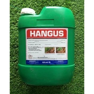 20L Hangus Glyphosate 41% Herbicide Racun Rumput