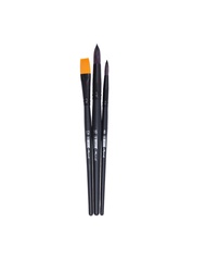 RAPHAEL CAMPUS ACRYLIC BRUSH SET