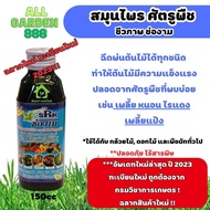 สมุนไพร กำจัดเเละป้องกันศัตรูพืช แมลง หนอน เพลี้ย ชีวภาพช่องาม 150cc