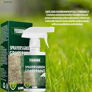 Grass Paint Sprays - Long Lasting Turf Paint for Patchy Dormant Yellowing Grasses