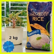 ♞,♘JASMINE Soft and Fragrant Thai RICE 2 kg