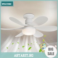 E26/27 Socket Fan LED Light Ceiling Fans with Lights 40W/30W for Bedroom Kitchen
