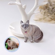 Custom cat portraits brooch - Full body, Custom cat brooch, personalized cat