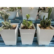 Pasu petak tinggi /square flower pot (FBL 2511) / pasu bunga petak/ pasu putih /White