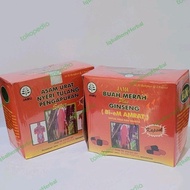 Kapsul Jamu Buah Merah plus Ginseng ( BM + )