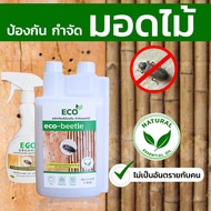 ECO Beetle  กำจัดมอด ป้องกันมอด กำจัดมอดไม้ไผ่ ยากำจัดมอด ซุ้มไม้ไผ่ มอดในบ้าน
