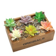 Succulent plant flower head small pointed lotus ornament plastic plant