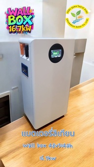 ลิเทียม 48V314ah LifePo4 Powerwall 16.07Kw แบตใหม่ติดผนัง RS485/CAN Smart Bms รองรับการเชื่อมต่อ อิน