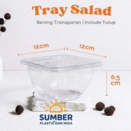 [ 10 PCS ] Milo Ice Cream Mica Fruit Salad Mica Vegetable Salad Plastic FoodGrade 500ML (READ CONTEN