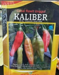 Promo Benih Cabe Rawit Kaliber cabai kaliber 10 Gr kemasan pabrik original