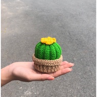 Cactus pot (wool)