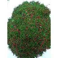 Lada Bara Sakata 461