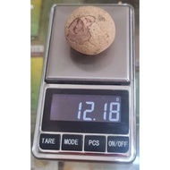 BEZOAR PORCUPINE DATES 箭猪枣粉(0.38g）癌症,蚊症,解毒，排脓，消炎，活血，生肌，止痛的功效。