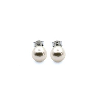 Dparis pearl stud earrings TMR003