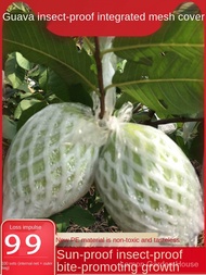 【Mei Ling Living Hall】Fruit Net Cover Protective Bag Guava Guava Net Cover Bag Insect Proof Bag Foam
