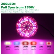 หลอดไฟปลูกพืช LED Grow Light 200 ดวง E27 250W สําหรับปลูกพืชในร่ม ผัก